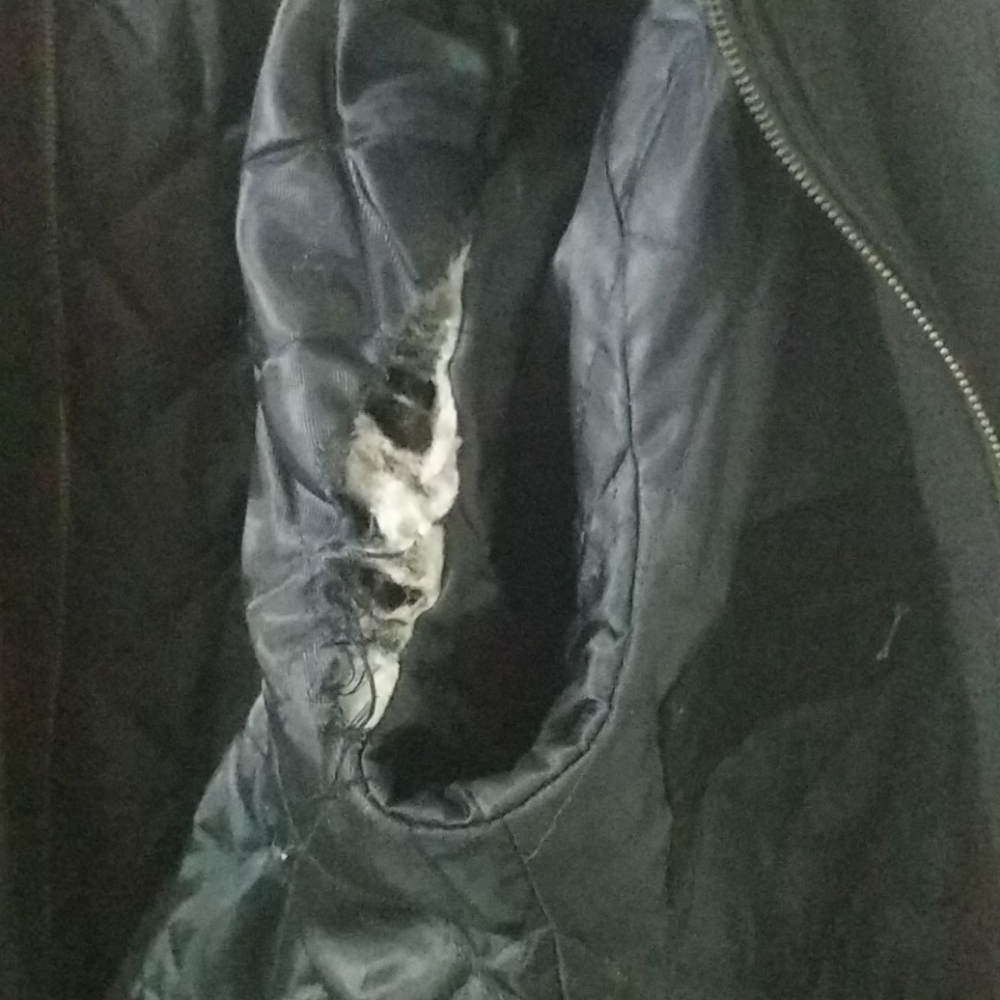 Michael Kors Jacket - Picture 10 of 11